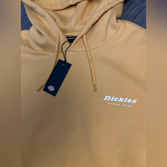 Dickies Men's Camden Box Graphic Hoodie Size Large - NEW WITH TAGS - Picture 1 of 13